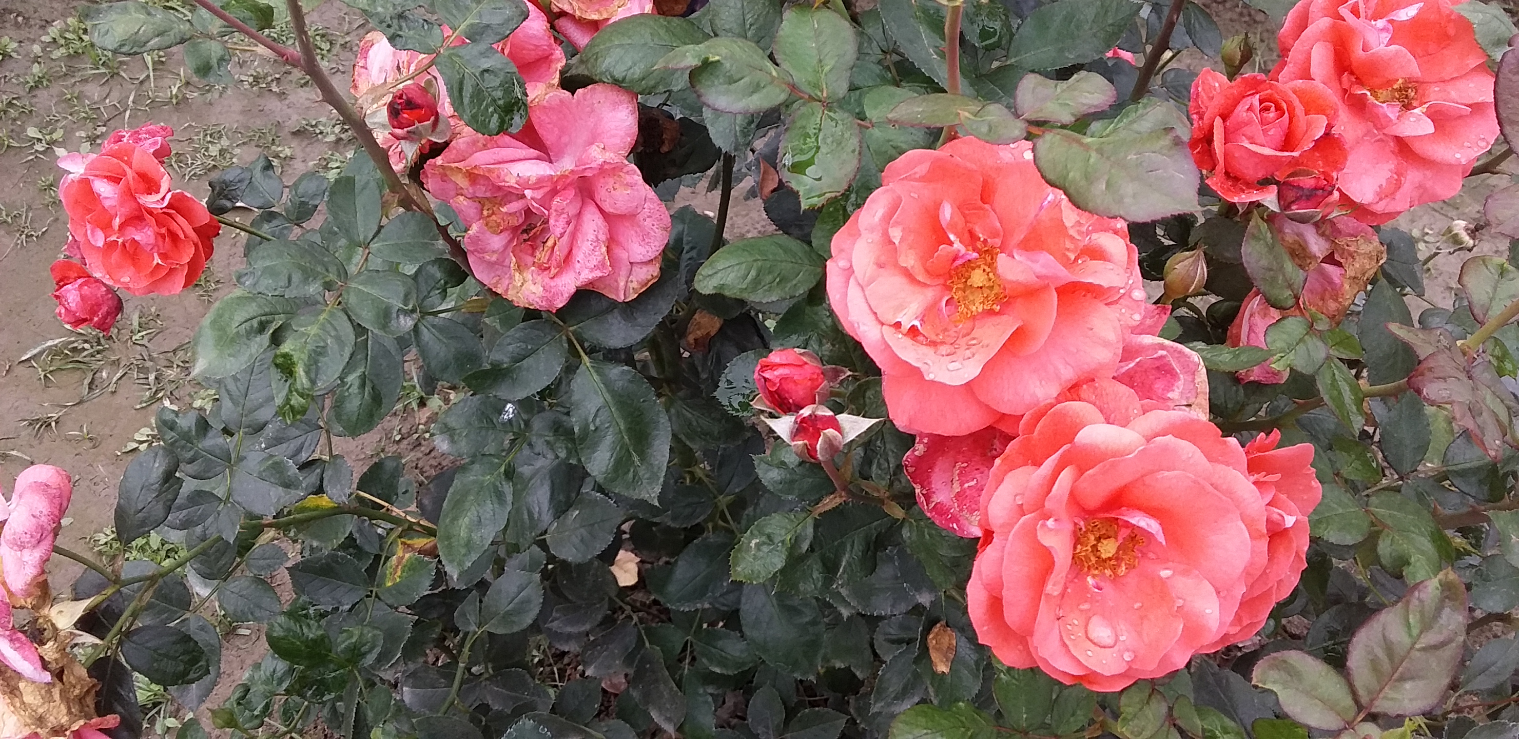 20190228_151820.jpg