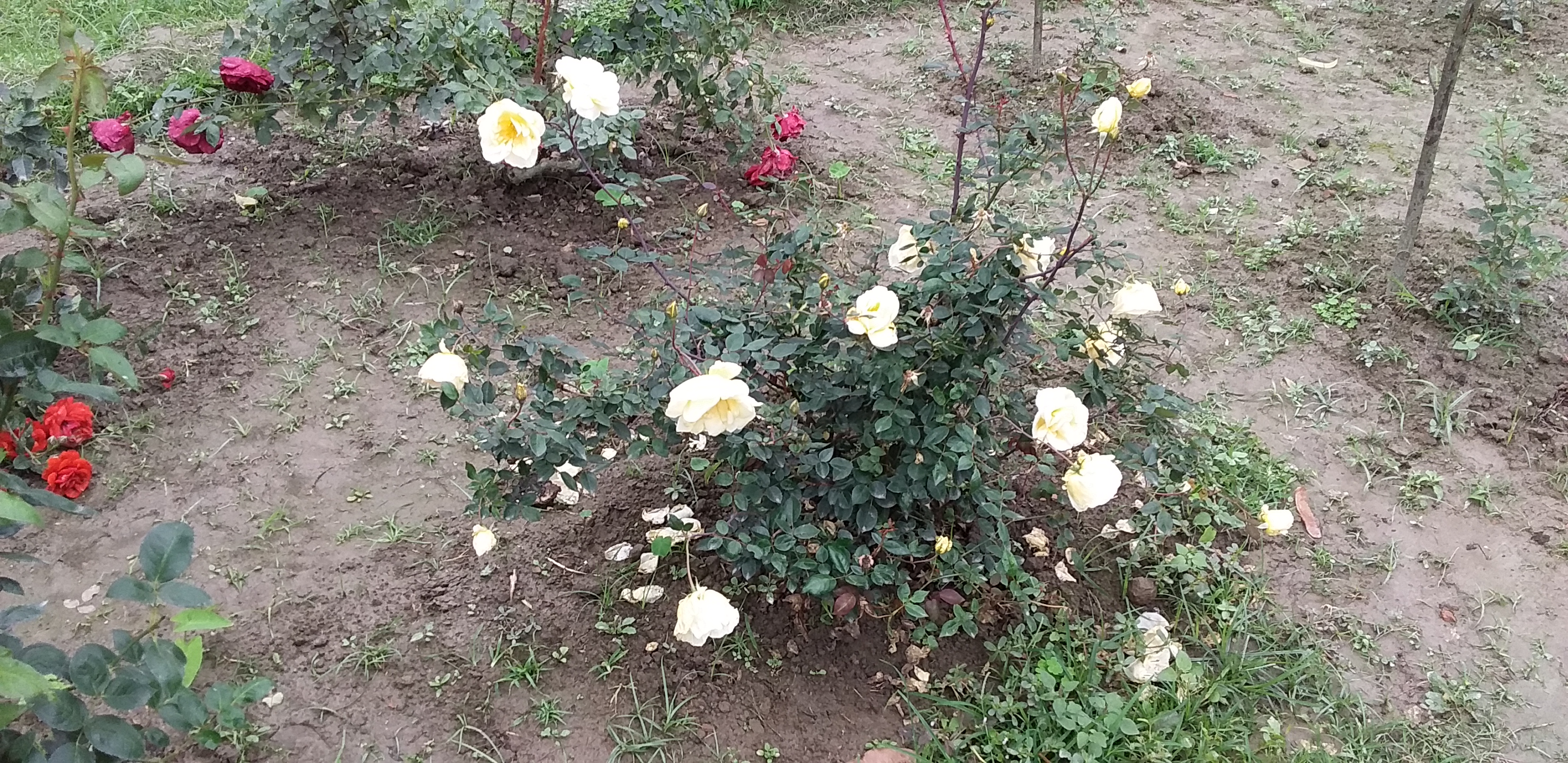 20190228_152216.jpg