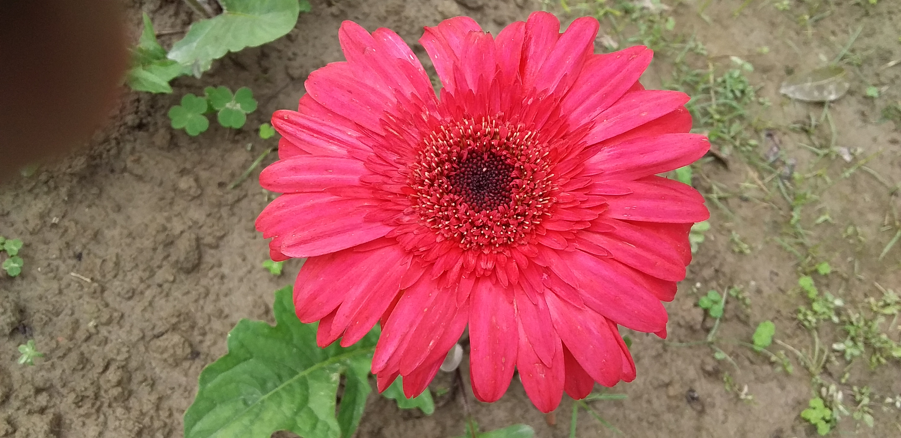20190228_152655.jpg