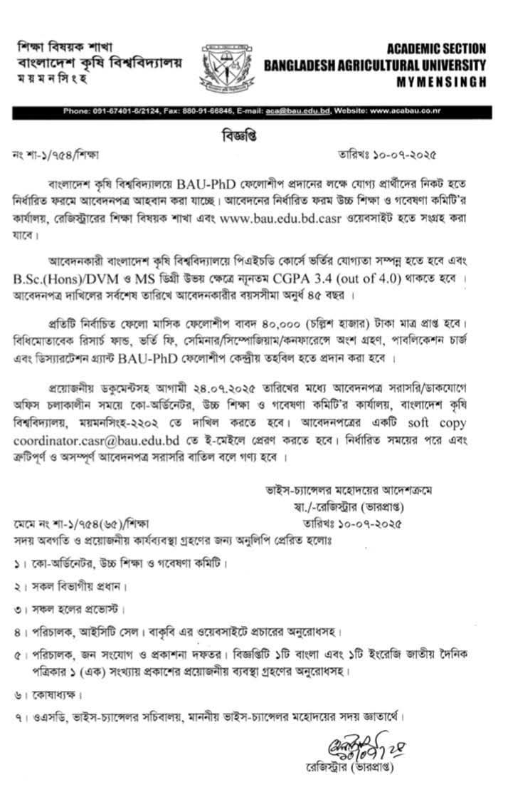 BAU-PhD Fellowship application
